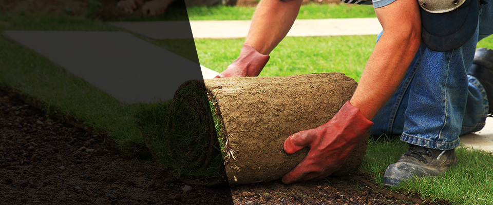 Doylestown Landscapers